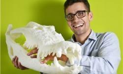 3D-Druck vom Krokodilschädel 