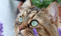 Engagement in der Region